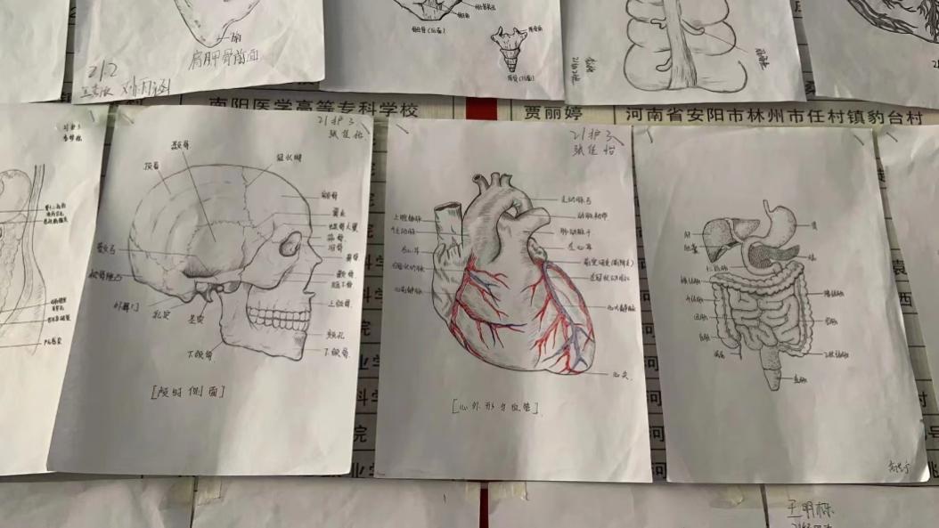 焦作護(hù)理學(xué)校質(zhì)量年度報(bào)告（2023年）(1)(1)(1)-8